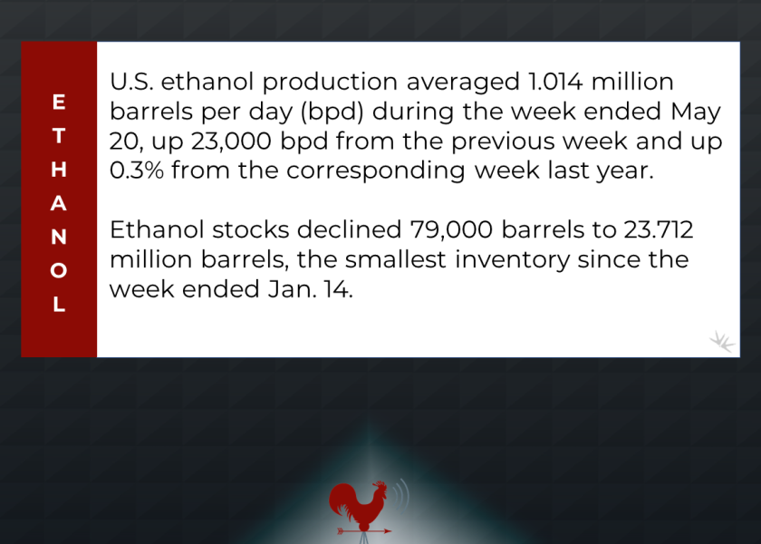 ethanol production