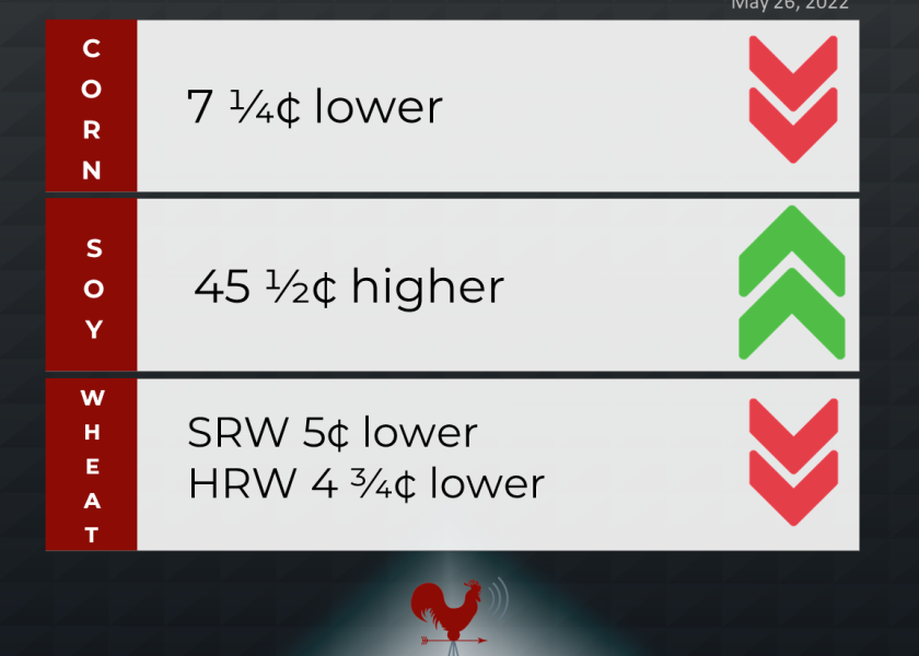 grain market recap