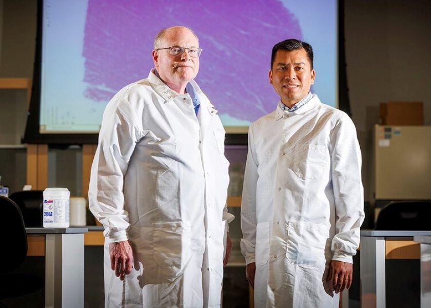Scott McVey (left), professor and director of Nebraska’s School of Veterinary Medicine and Biomedical Sciences, and Hiep Vu, assistant professor of animal science at Nebraska, are working to catalog a pig’s protective proteins against the lethal African swine fever. Their work could lead to new breakthroughs in fighting the disease.