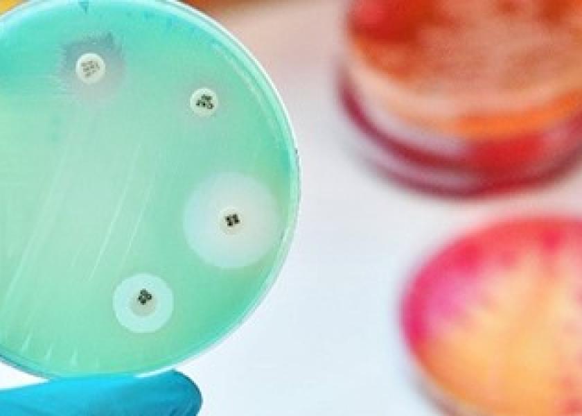 The USDA Animal and Plant Health Inspection Service (APHIS) will host a virtual Antimicrobial Resistance (AMR) Workshop on Aug. 30.  
