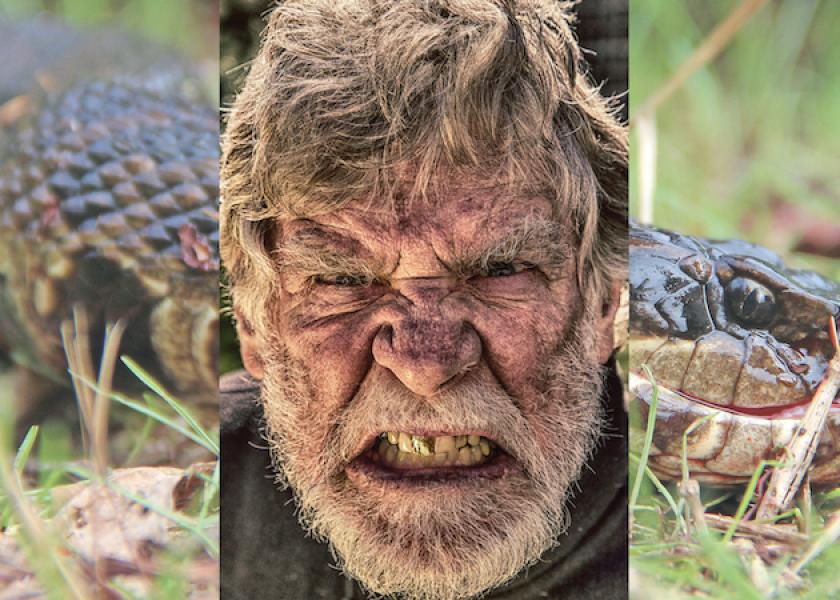 water moccasin nesting habits