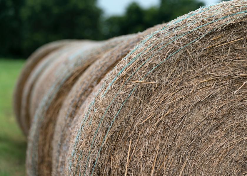 Understanding Hay Inoculants and Preservatives on 'Dry' Hay