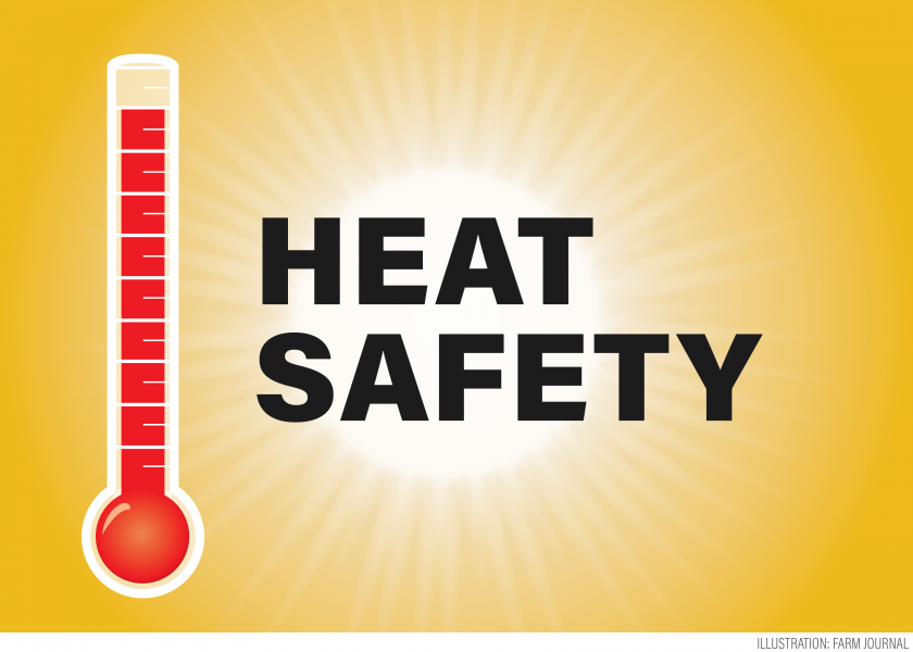 Iowa State Extension highlights how the signs of heat stress are often overlooked by the victim. 
