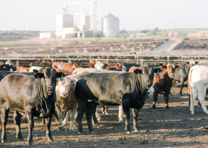 TCFA president and CEO Ben Weinheimer shares his southern plains perspective on the Cattle Price Discovery and Transparency Act.
