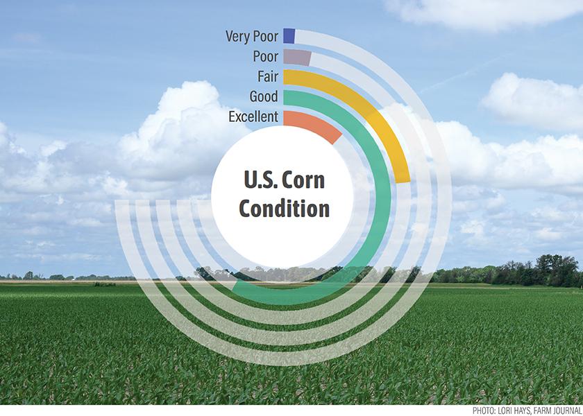 Nearly 80% of the corn crop has emerged and 73% has a condition rating of good or excellent. 
