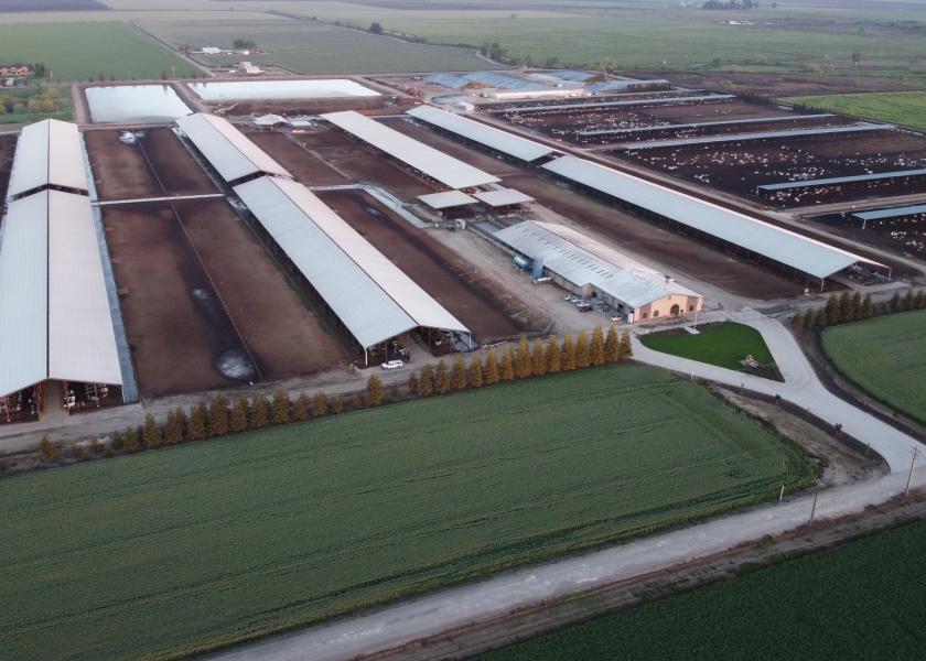 Vander Woude Dairy, a 3,200-cow herd in Merced, Calif. Additionally Vander Woude owns Dutch Door and Grand View Dairies, for a total count of 6,000 cows across the three dairies. 