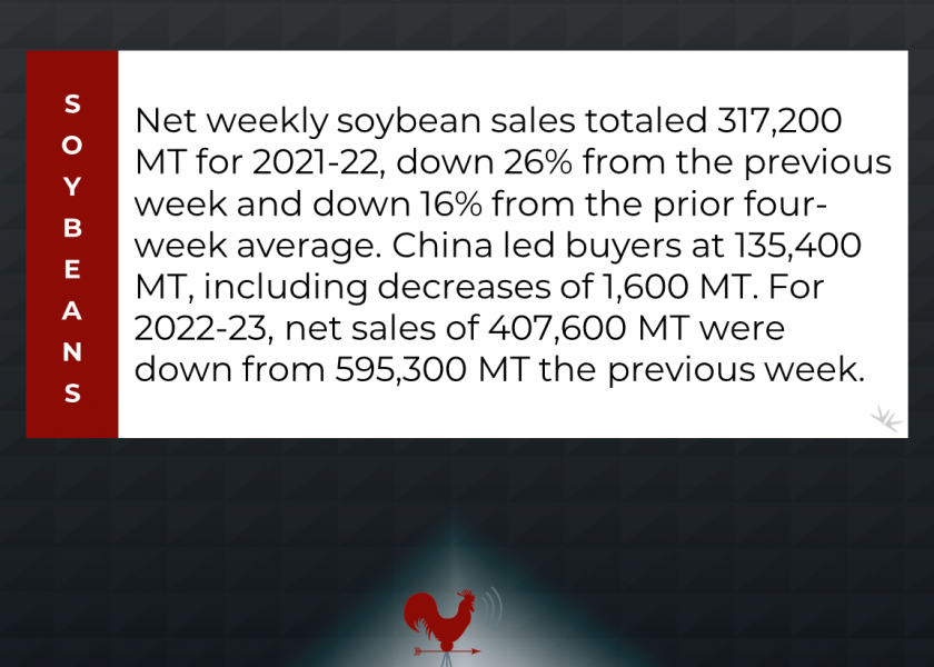 soybean news