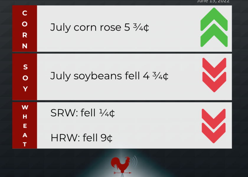 grains recap