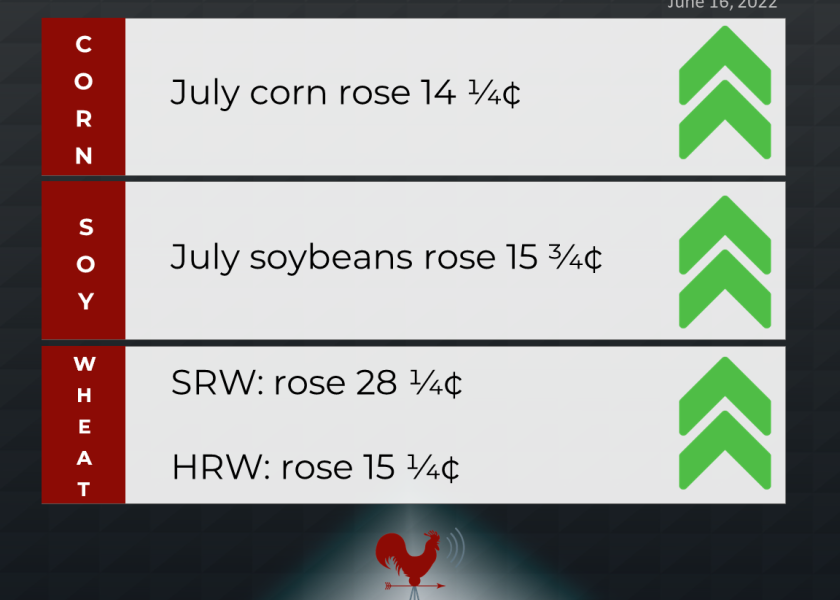 grains recap