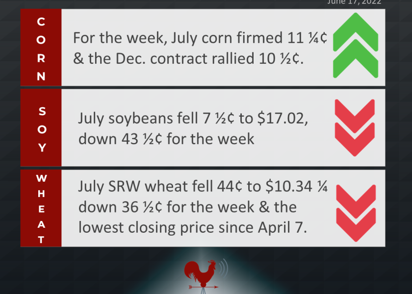 grains recap