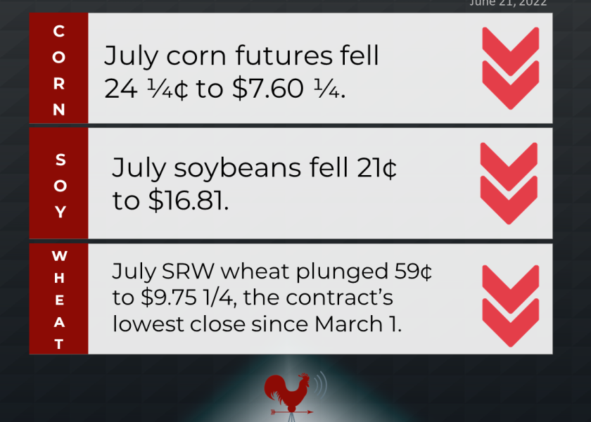 grains recap