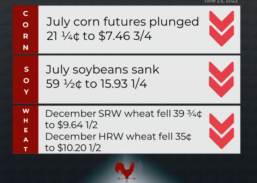 grains recap