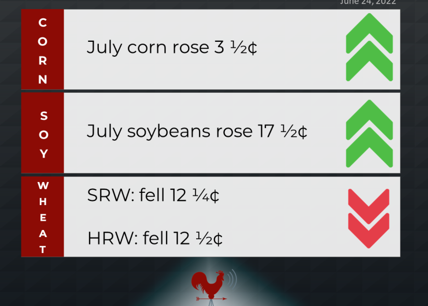 grains recap