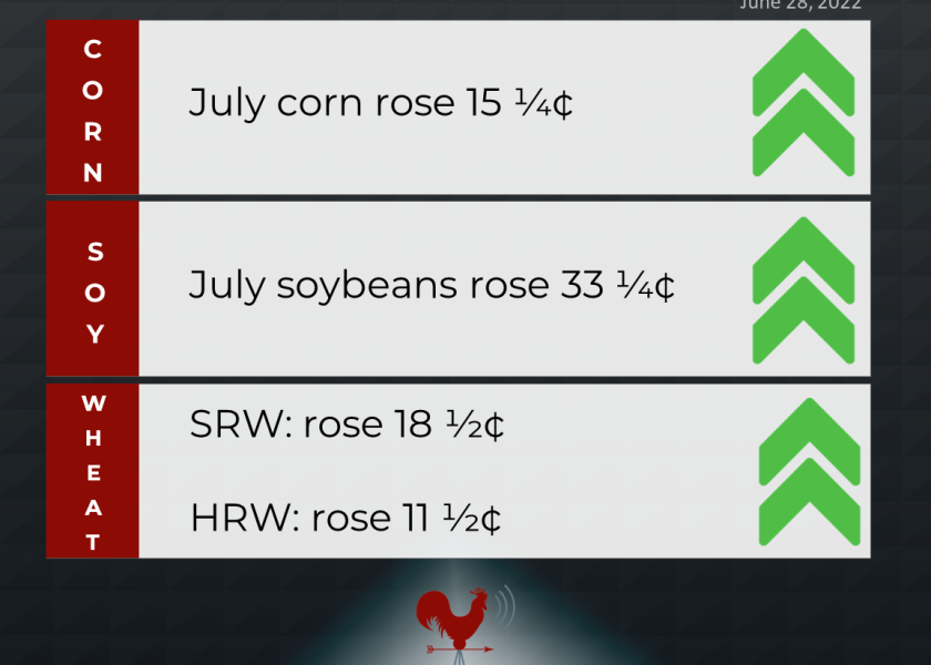 Grains recap