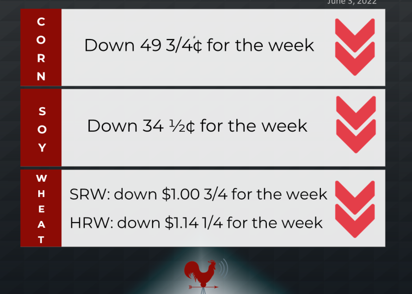 grains recap