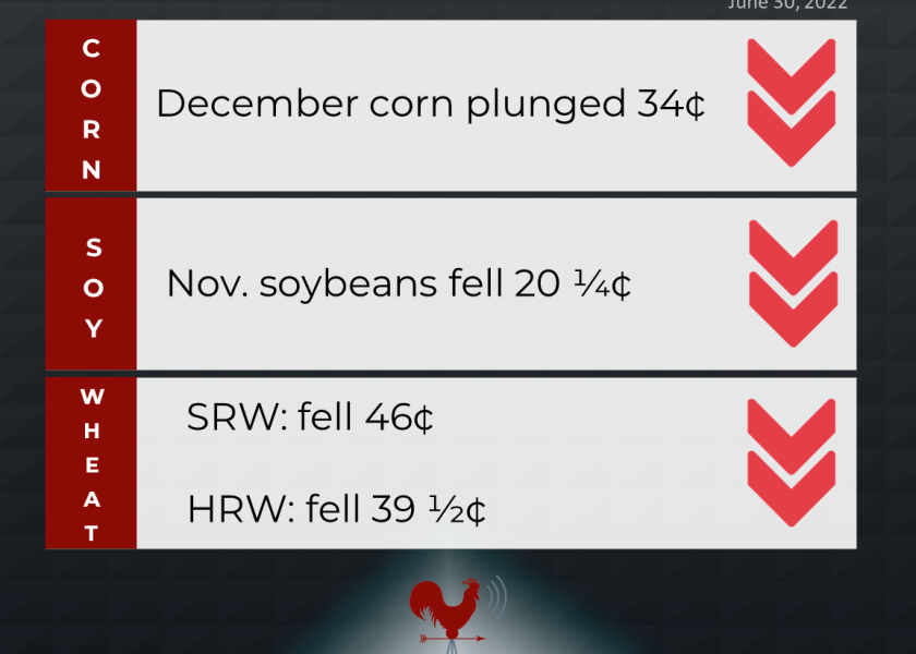 Grains recap