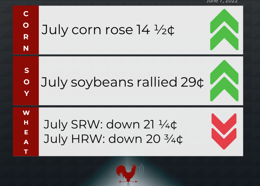 grains recap