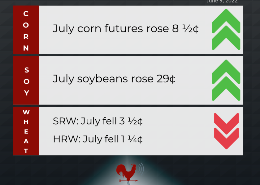 grains recap