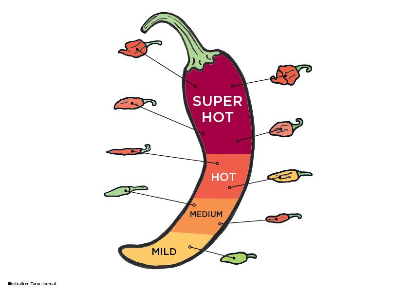 The Scoville Scale of pepper heat can be good information to offer shoppers at point-of-sale.