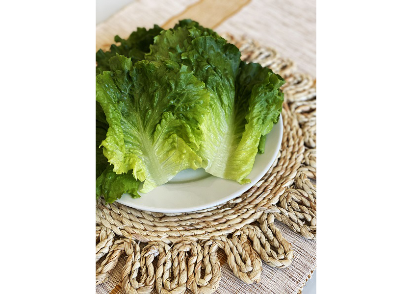 Deli leaf lettuce from Misionero