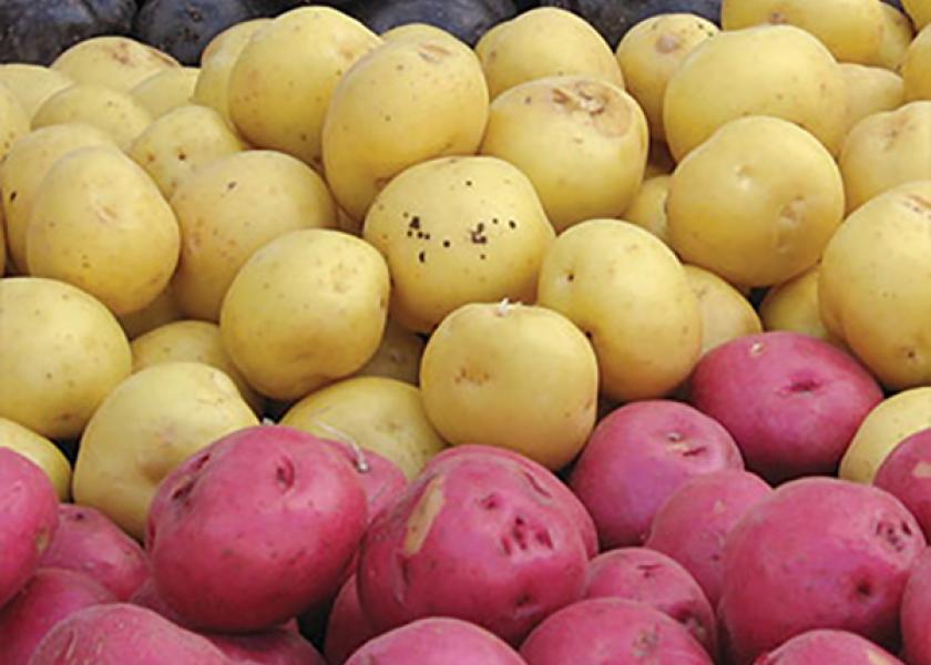 Potatoes are increasingly in demand, says Fresh Solutions Network.