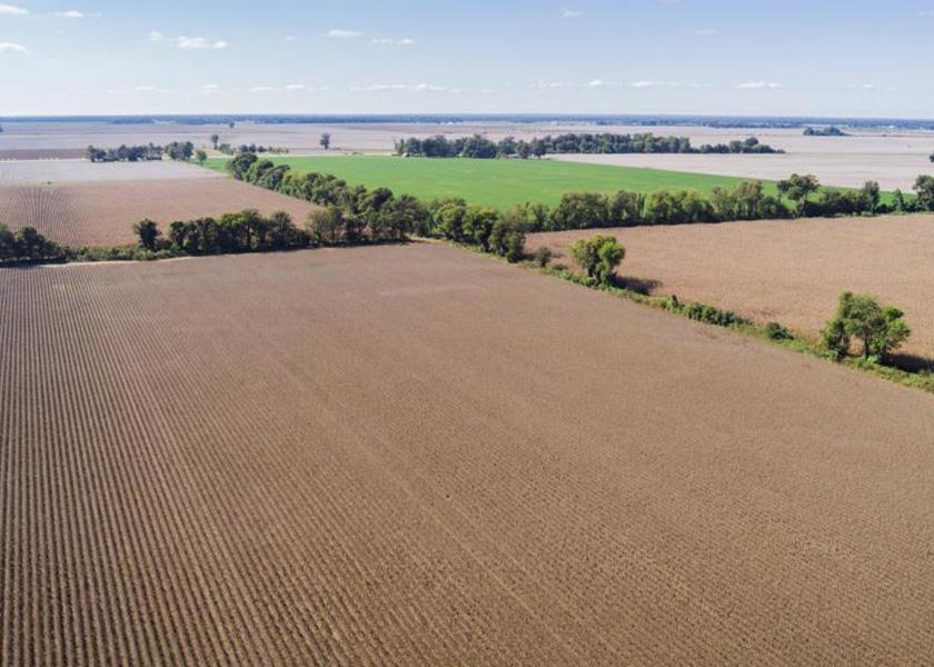 Survey of land professionals finds strong gains.