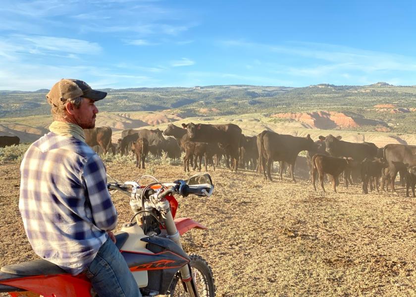 Taking the road less traveled, Wyoming rancher, RC Carter of Carter Ranch and Carter Country Meats finds reward in running a cattle operation rooted in history, regenerative practices and relationships with the community.