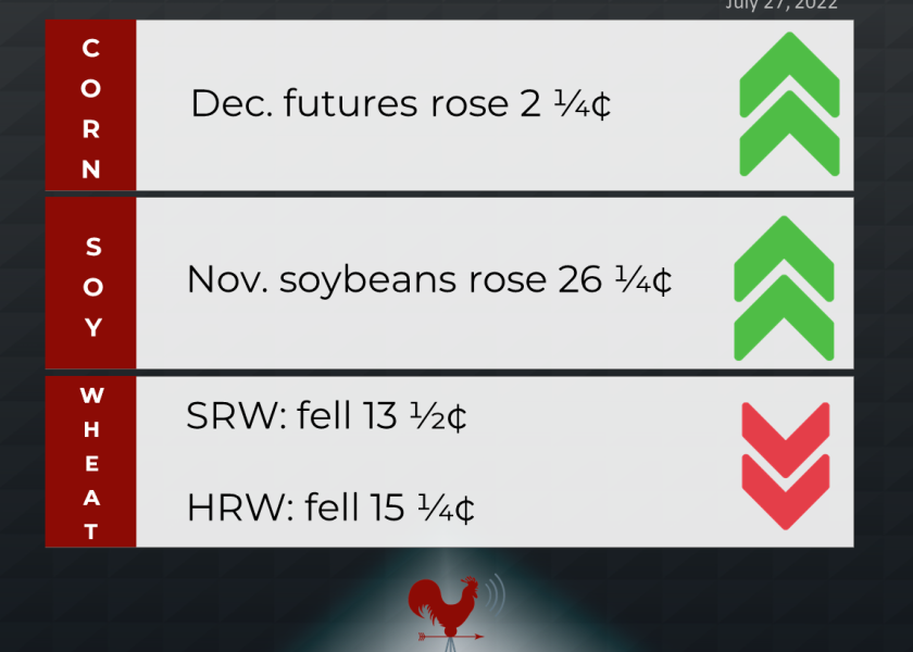 grains recap