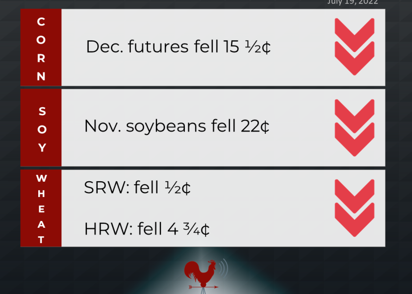 grains recap