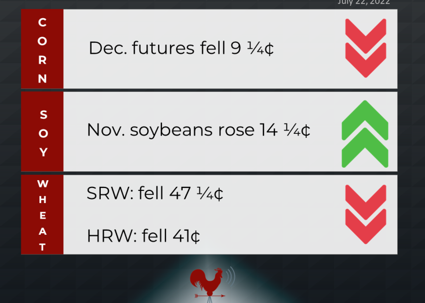 grains recap