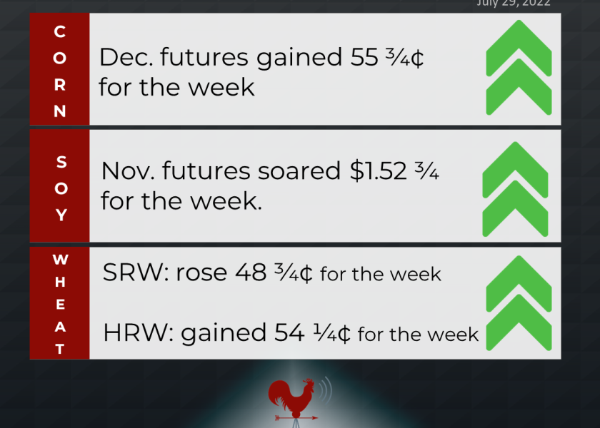 grains recap