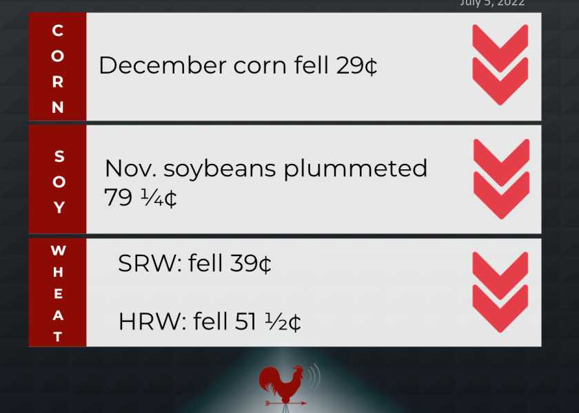 grains recap