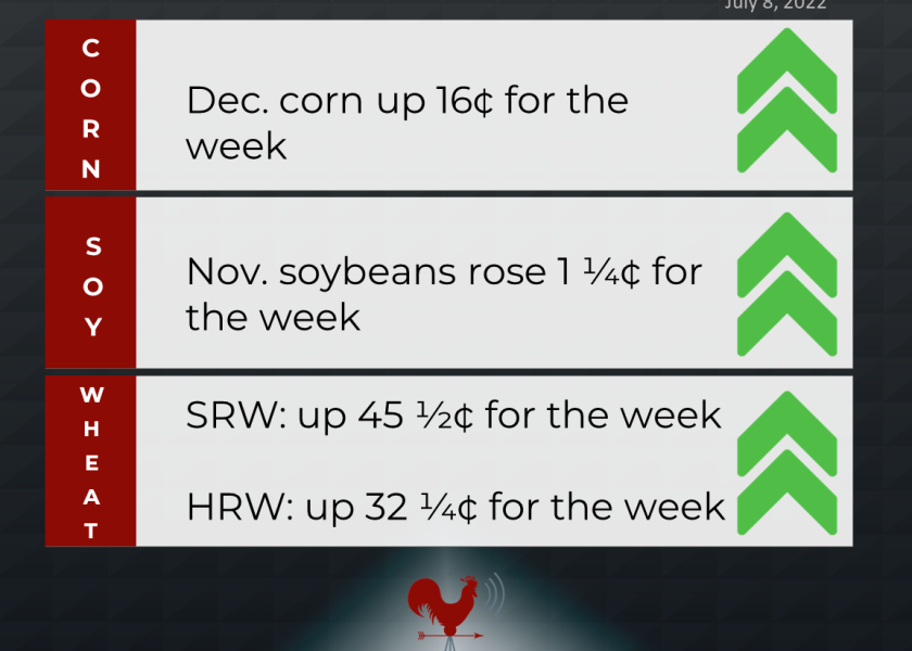 grains recap