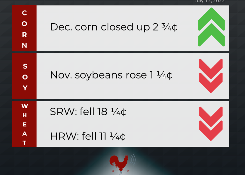 grains recap