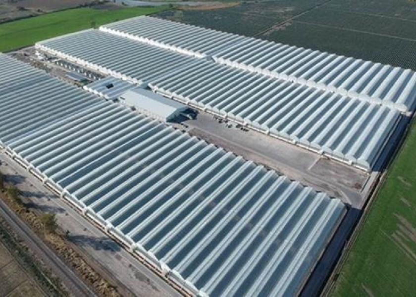 Lipman Family Farms has purchased a 75-acre greenhouse facility in Jalisco, Mexico.