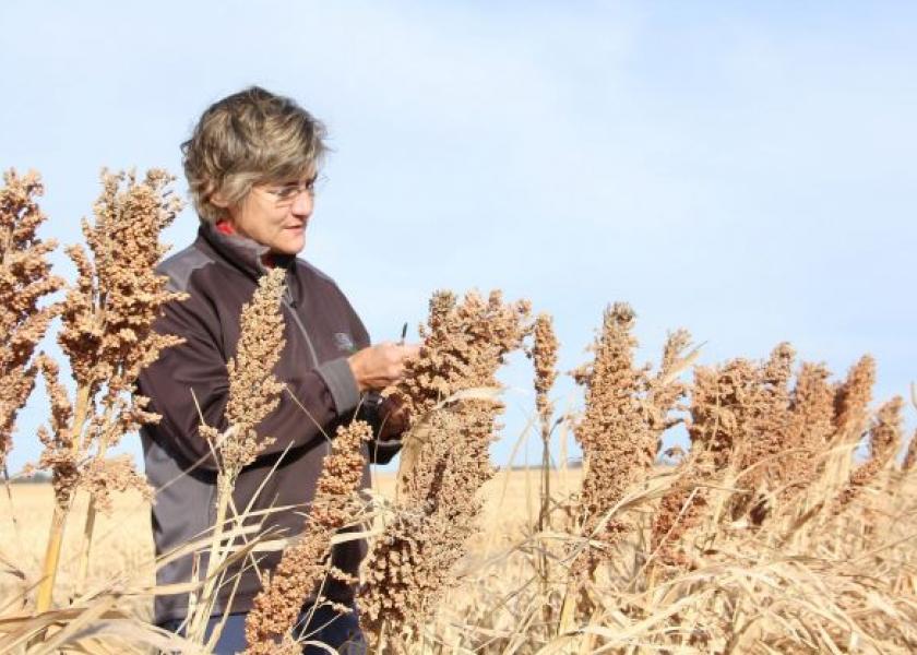 Tracy Zink farms roughly 3,000 acres of corn, soybeans, wheat, grain sorghum and pastures in Nebraska. She was recently named a conservation steward for America's Conservation Ag Movement.