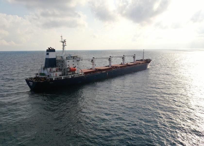 The Sierra Leone-flagged cargo ship Razoni, carrying Ukrainian grain, is seen in the Black Sea off Kilyos, near Istanbul, Turkey August 3, 2022. 