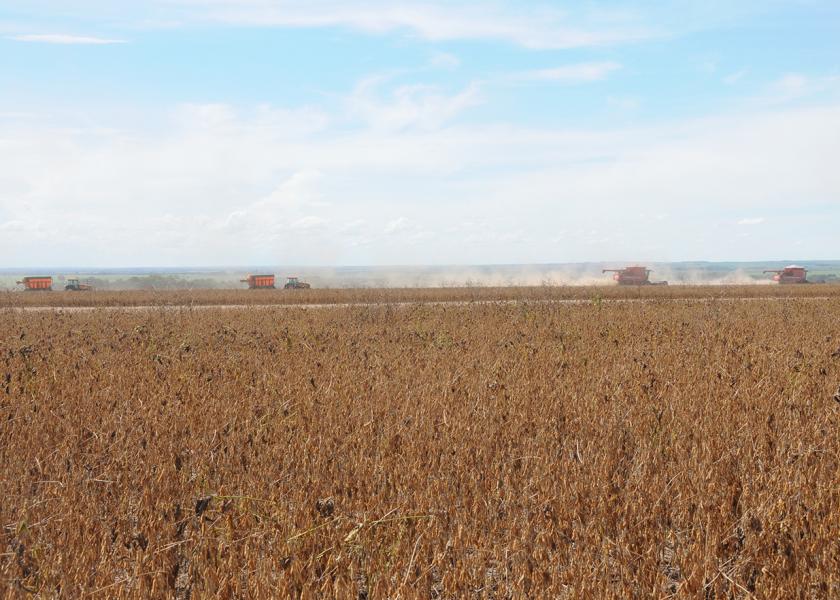 Brazil soybean harvest
