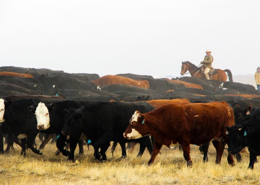 Using this guide will help ranchers and land managers align with well-recognized sustainability goals, like those of the U.S. Roundtable for Sustainable Beef.