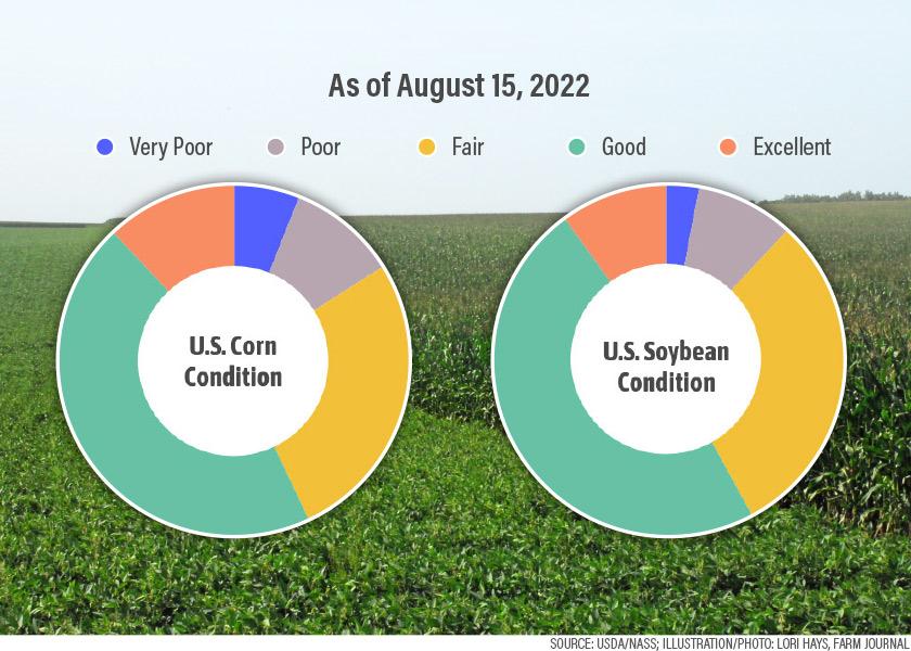 The U.S. corn crop is consistently declining in condition. Currently 57% of the crop has a good or excellent rating, which ties with 2019 for the week's worst corn condition rating since 2012.