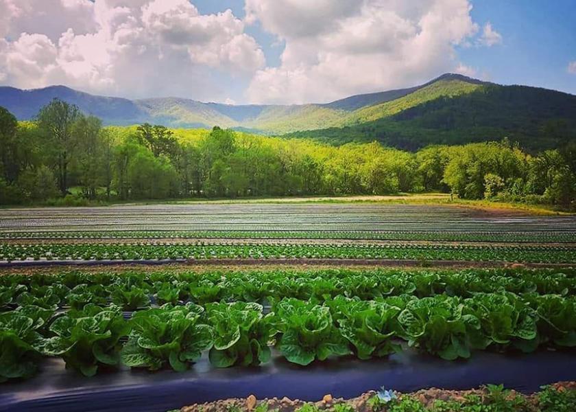 New Sprout Organic Farms is a certified organic grower that sources from a network of 11 farms that grow on about 2,000 acres.
