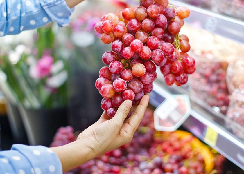 The Packer’s Fresh Trends 2023 survey indicated 52% of consumers said they purchased fresh grapes in the past year, with consumers in the Midwest reporting the highest level of fresh grape consumption.