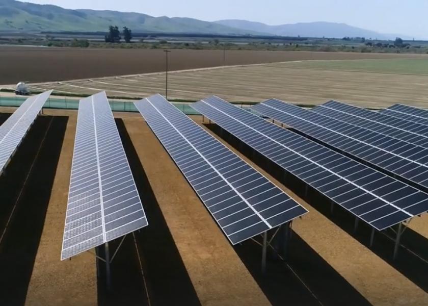 Taylor Farms is actively investing in solar energy.