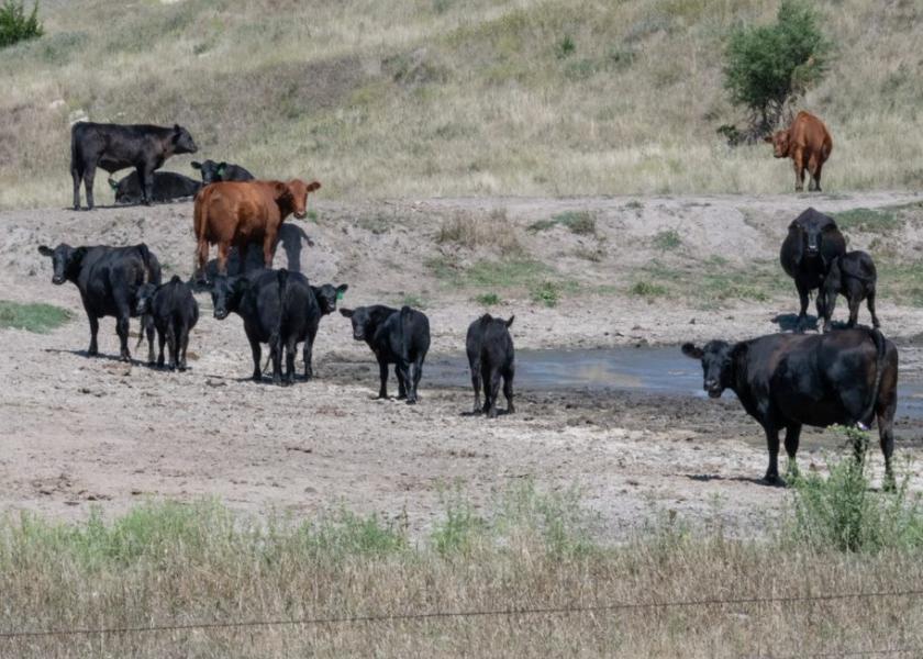 While drought does not lead to ideal parasite growing conditions, it does not necessarily mean the threat of parasites no longer exists. Here are some things to consider heading into the 2023 grazing season.