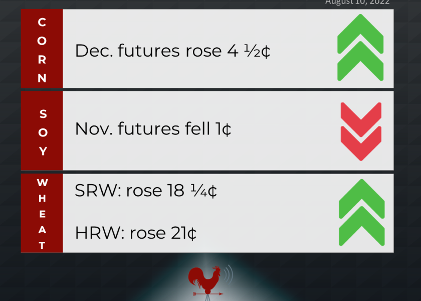 grains recap