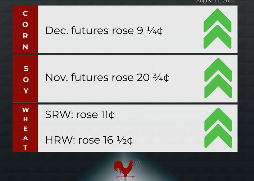 grains recap