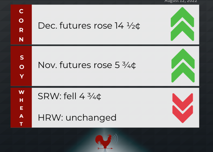 grains recap