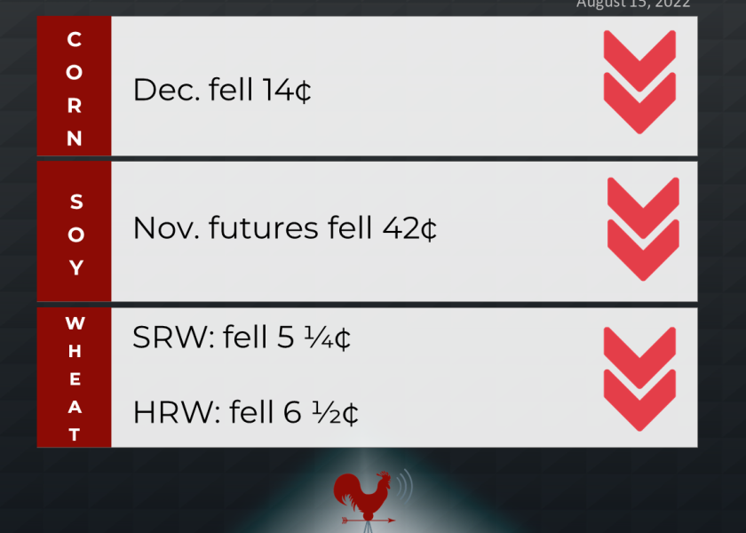 grains recap