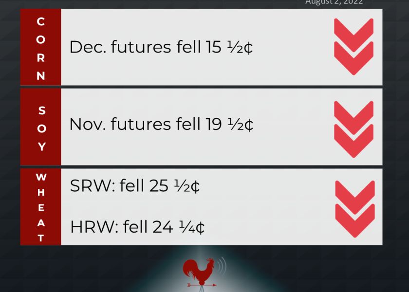 grains recap