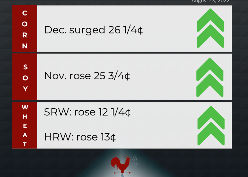 grains recap